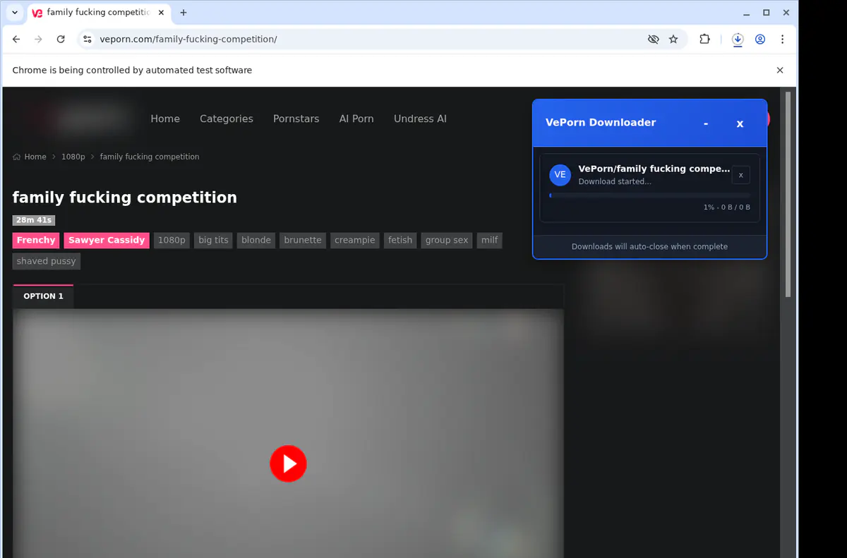 Veporn Video Downloader screenshot 3