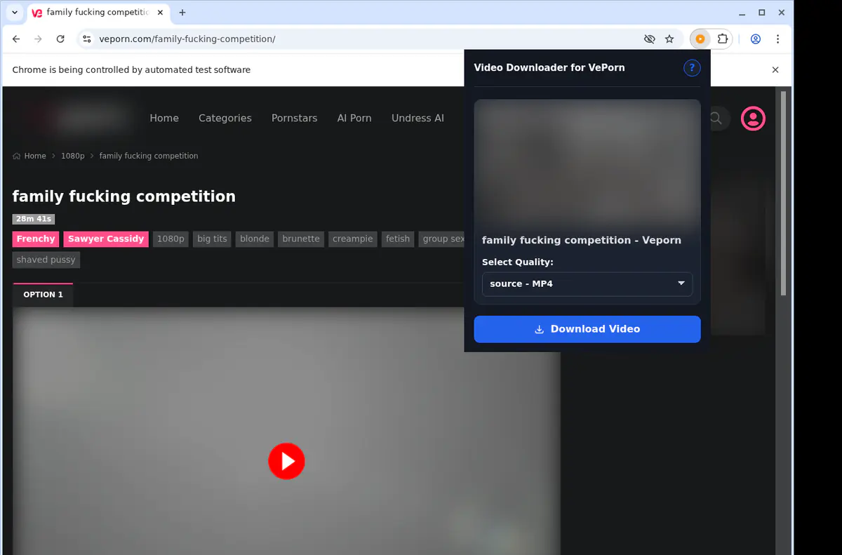 Veporn Video Downloader screenshot 4